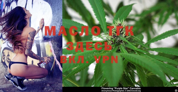 сатива Алзамай