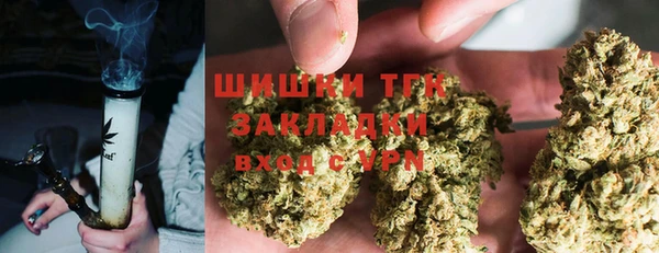 хмурый Арсеньев